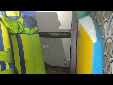 Opossums Take Shelter in Storage Bin in Atlantic Highlands, NJ