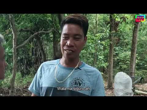 Sinursurwan Da Ni Dimsy Karate Part 3 - Franz Pal - eng