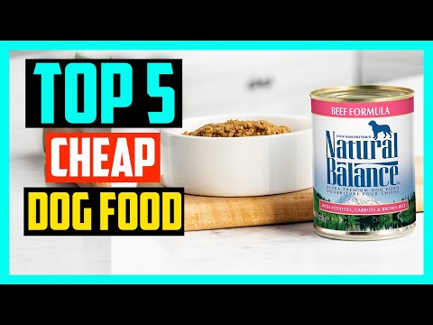 Best Cheap Dog Food – Buying Guide for 2024