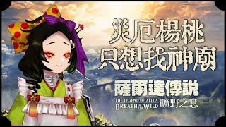 [Vtub] 五斂子《曠野之息》 災厄楊桃我醉心於找