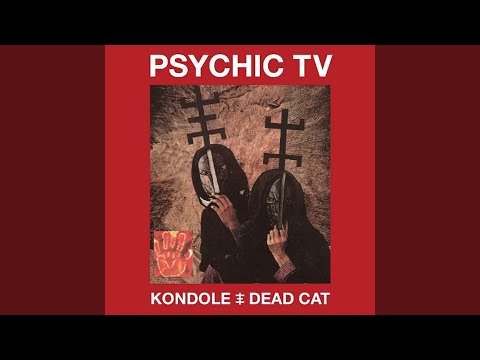 download lagu mp3 mp4 Psychic Tv Kondole Dead Cat 2018, download lagu Psychic Tv Kondole Dead Cat 2018 gratis, unduh video klip Psychic Tv Kondole Dead Cat 2018