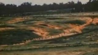 Beta Band - Dry The Rain