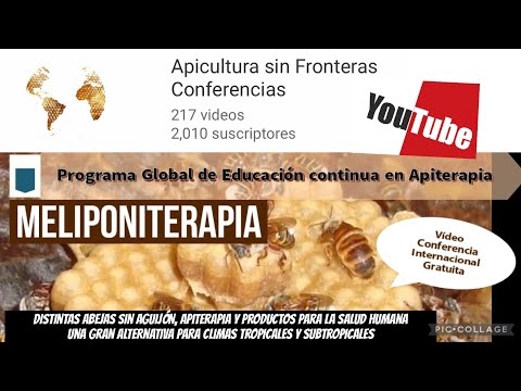 , title : 'Distintas especias de Abejas sin Aguijón , características y beneficios en la Apiterapia y la salud'