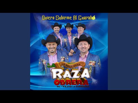 Quiero Subirme Al Guayabo