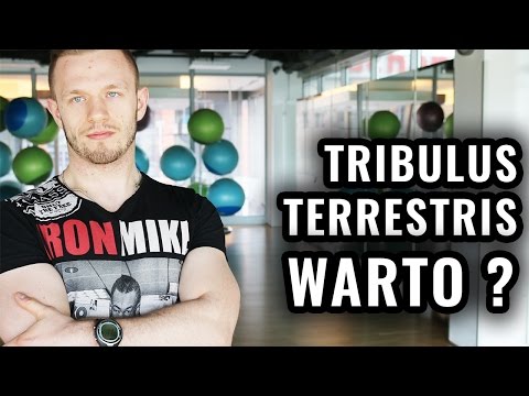 Chiński Viagra dla potencji Teksty i siła