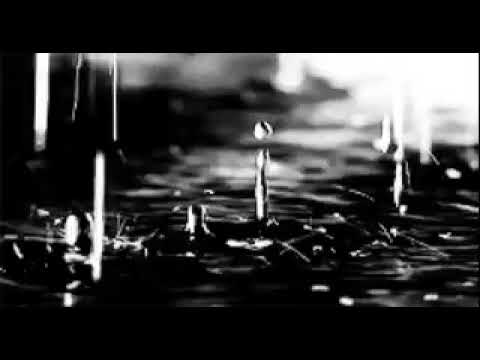 Promotional video thumbnail 2 for Chris Katz