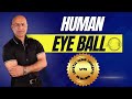 Download Subtitles for Anatomy of The Human Eye Ball Video
