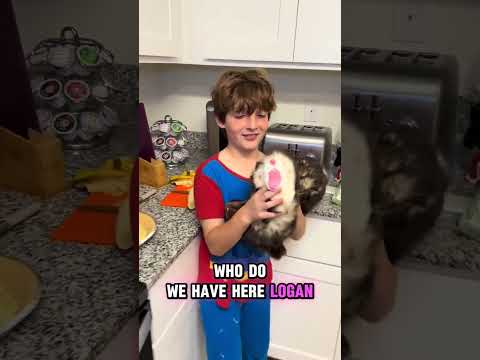 Baking with Logan: Banana Cream Pie Edition! 🍌🥧 Watch us mix, whip, and (maybe) make a mess!