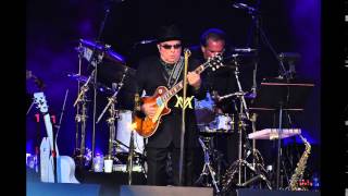 Van Morrison - And The Healing Has Begun