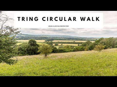 TRING CIRCULAR WALK | Tring Walk | Chiltern Hills AONB | The Chilterns | Ivanhoe Beacon | Tring