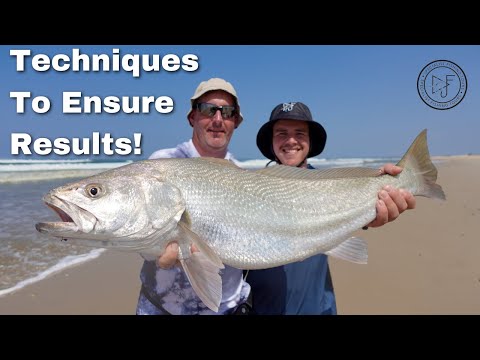 Kob Season is on its way! Here is how to catch them // Duvan Fishing Charters