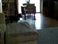 SABRINA MACY AND MAILEY PLAYING