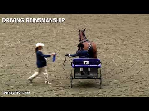 17 Big E   4H Show FRI Morning