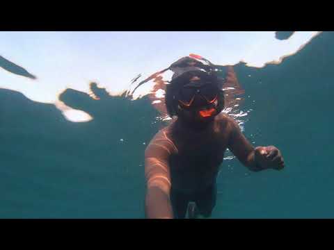 Snorkeling Fujairah Beach