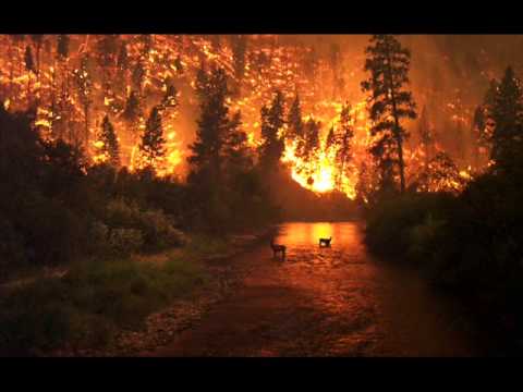 Shu, Ślepy feat Aras Dobrado - Pytasz co u mnie