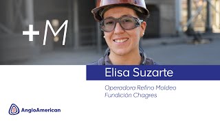 Image for +M | Elisa Suzarte