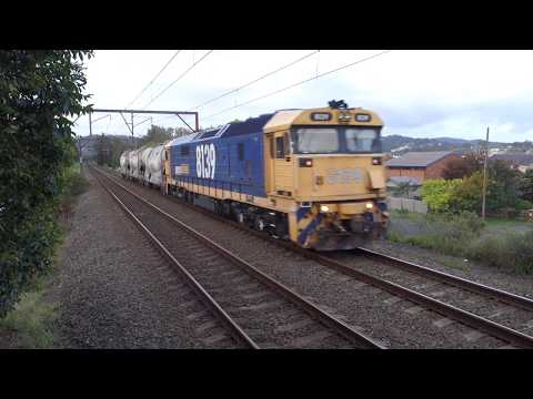 Solo 8139 with PN 4124 - 11/10/18