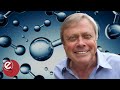 How Green Is Blue Hydrogen
