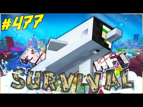 COME CATTURARE UN DELFINO NELLA 1.13 - Minecraft ITA - Survival #477