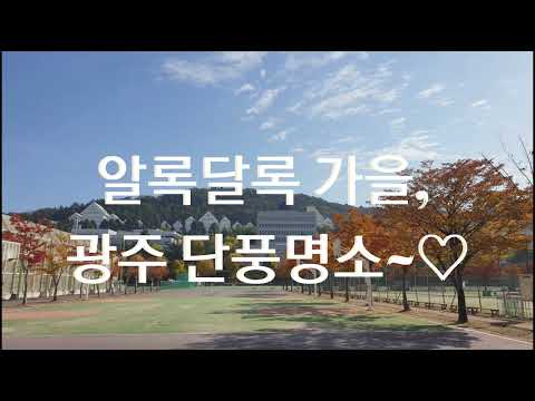 [오매광주] 알록달록 무르익었던 가을, 다시 보고 싶은 광주 단풍명소∼♡