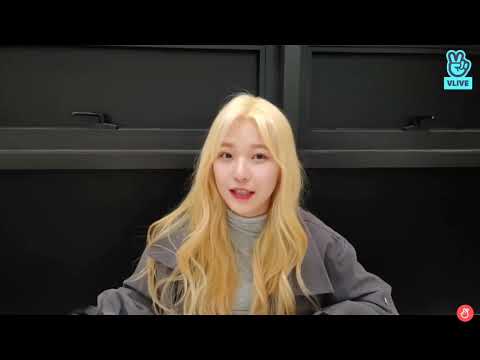 아이콘