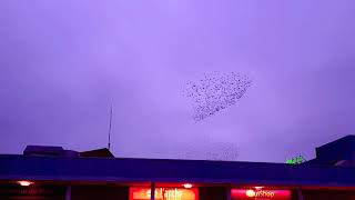 12月。メンテナンス。