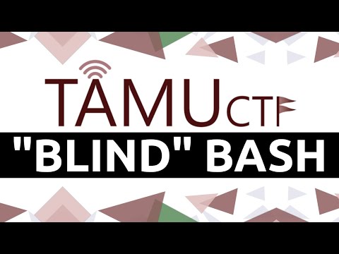 Leaking a Flag with Bash - TAMUCTF 2020