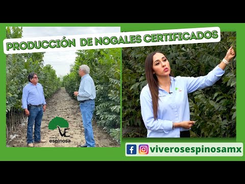 Reportaje: Panorama Agropecuario.