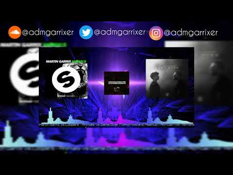 Martin Garrix vs Loopers - Animals vs Game Over (Tomorrowland Mashup) | AdmGarrixer Remake (HQ)