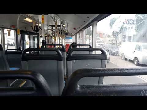 Transit Systems - 1337 - Mercedes 0405NH/CC Citaro[Leichhardt](430 - Taronga Zoo)