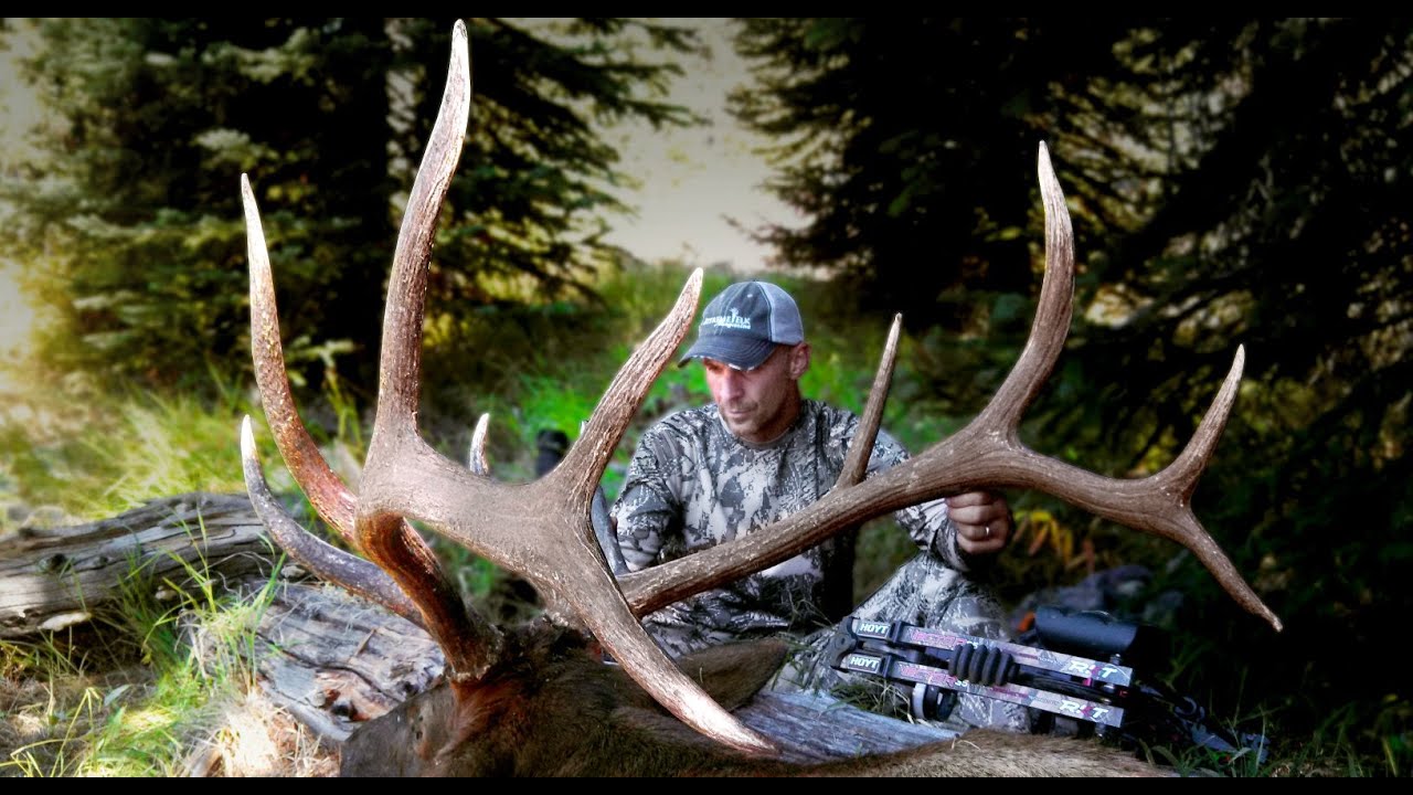 Staying Positive - Elk Hunting Film by Elk101 com