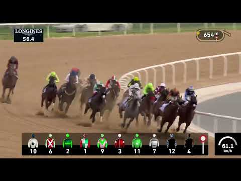 ゴドルフィンマイル（G2） 2024/3/30(土) | 日程・結果 | JRA-VAN 