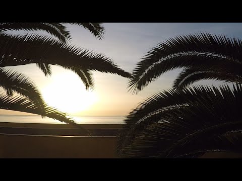 Fuerteventura Impressionen 2020