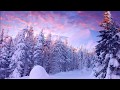 Andy Williams - Winter Wonderland