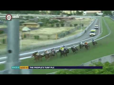 3eme journée - Race 6 - FROSTED GOLD