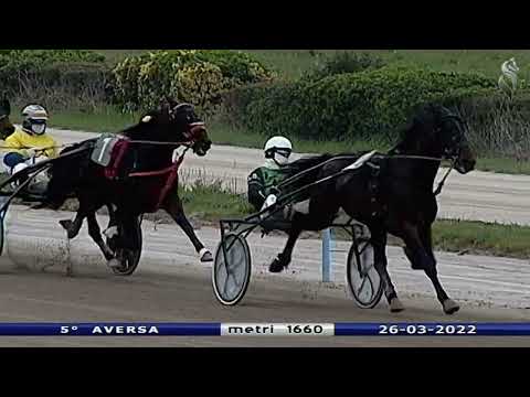 Aversa trotto 26 Marzo 2022 - 5° Corsa