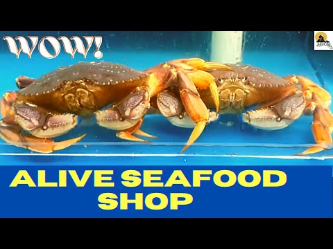 AMAZING!!! | LIVE SEAFOOD MARKET IN MANCHESTER | Live Large-sized Seafood Stall UK || ASMR