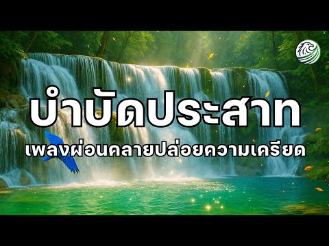 เพลงบำบัดประสาท คลายเครียดลึกถึงใจ คืนความนิ่งให้ตัวเอง ดนตรีผ่อนคลาย ดนตรีบำบัด เพลงบำบัดความเครียด