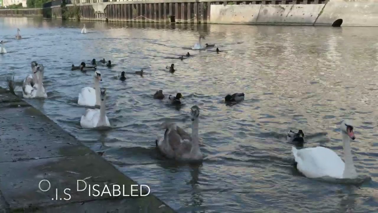 Fujifilm X-T30III — O.I.S On/Off - YouTube