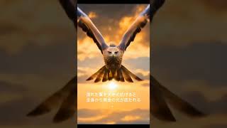 水泳中のトンビの王女、まさかの戦闘モード覚醒！ #癒し #動物 #natural #リラクゼーション #birds