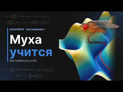 Превью видео на YouTube — нажмите, чтобы воспроизвести