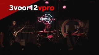 Wyvern Lingo - live at 3voor12 Podium at Eurosonic 2017