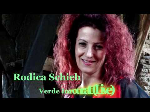 Rodica Schieb -  Verde Inrourat  Muziza de Petrecere Live