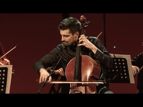 Vivaldi Summer (3rd movement) Storm - LUKA SULIC