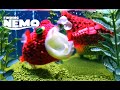Finding Nemo Algae Fish Tank Reimagined By AI