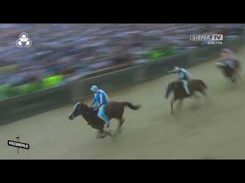 PALIO DI SIENA 4 LUGLIO 2024, VINCE LA CONTRADA CAPITANA DELL'ONDA LA CARRIERA DI PROVENZANO