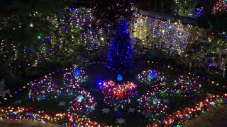 Foster Light Show - Dave Barnes - All I want For Xmas