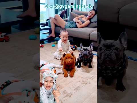Anjing Ini Paling Gagal Akting! 😂  gvgamingback