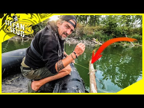 What predatory fish is hiding here? I'll try to catch that fish! Fishing at the WILD FOREST LAKE