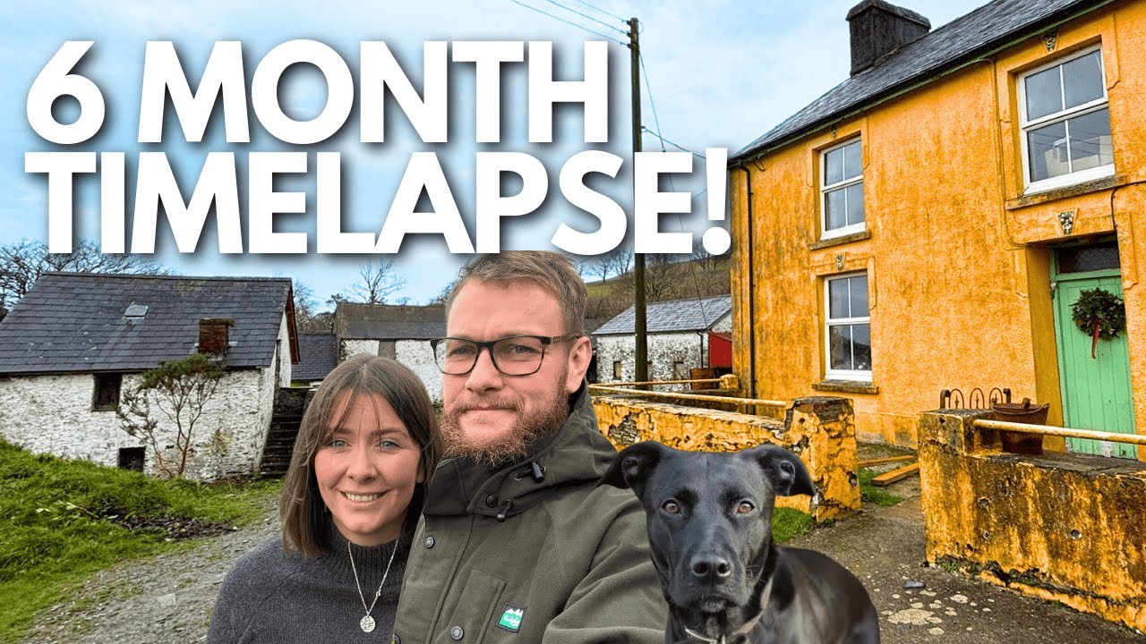6 Months of DIY: Transforming a Derelict Welsh Farmhouse and Smallholding! (ep.12)